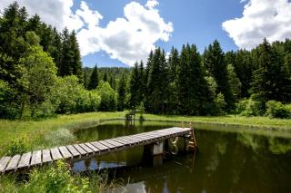 Panorama Apartment Bauernhof Mandl - 3