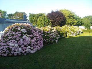 La Cabane aux Hortensias - Cottage cosy proche plage - Saint-Aubin-sur-Mer - 2