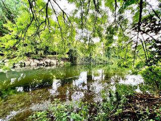 Un jardin au bord de l'eau - 3