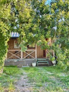 Amazonas Pirates 3 - 5