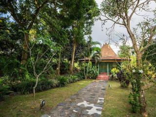 The River Island Sidemen - 5