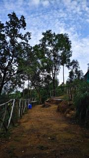 LoveNest by ClubTravalet - 1