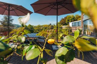 Rosa Flesch Hotel und Tagungszentrum - Waldbreitbach - 9