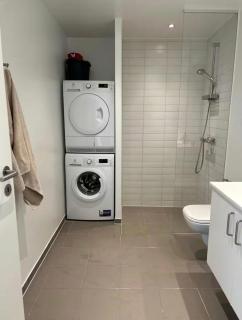 Beach View Apartment in Vallensbæk - 4