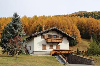 Appartamenti Piccolo Larice - Livigno - 7
