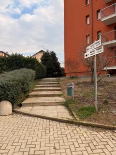 Girasoli Rho Fiera - Lainate - 3