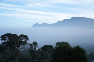 Shola Heaven Resort - 4