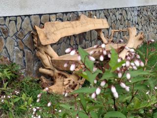 Apartma Spodnji Goltnik 1 - 3