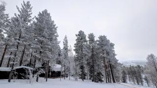 Mysig fjällstuga i Hundfjället - 6