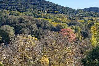 Cosy Apartment in Ancient Gabian with River and Vineyard Views - 8