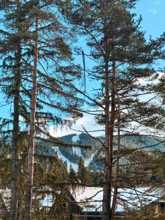 Hotel Borovets Edelweiss - 3