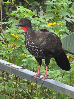 Stay at Alexas Nature House - 9