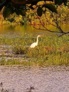 Stay at Alexas Nature House - 6