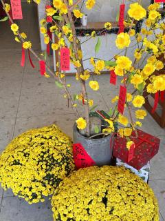 HOLIDAY HOTEL PHAN THiẾT - 6