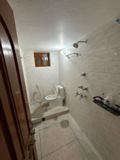 Dhreeta green 201 - 7