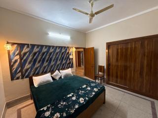 Dhreeta green 201 - 6