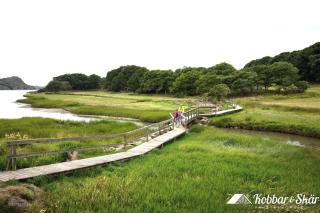 Apartment in Höviksnäs, 300 m from the sea with a view of the Tjörn Bridge SE09112 - 5