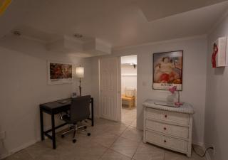 Spacious furnished in-law apartment with private deck and patio close to Light Rail - 1