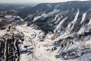 The Cabin - Pocono Summit - 1