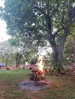 Ananda Multiverse Evolve 15' from the Botanical Garden - 4