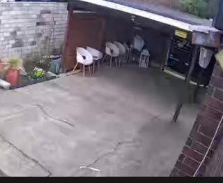Gemütliches Apartment in Gladbeck für eine Person - 9