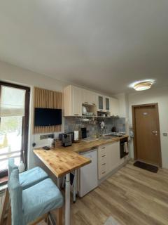 Green Line Studio Appartment Pamporovo - 3