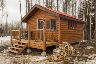 The Wolf Cabin - Bear Creek Cabins - 9