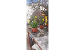 Grenta Country House - Karousádes - 8