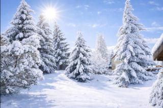 Forest House near Klínovec with 5 Independent Apartments - 6