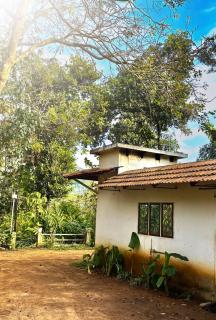 Munnar Valley Cardamom Farm Stay - 6