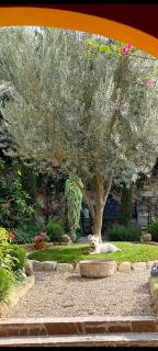 Posada de la cruz#1 - 5