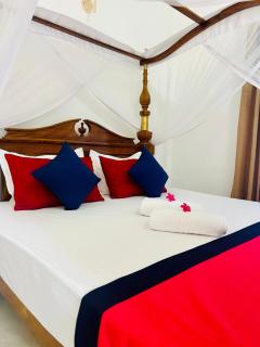 Frans Luxurious Villa - 4