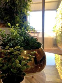 Authentic studio apartment with jacuzzi in center - 5