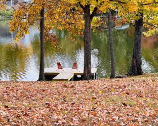 Ozran Cottage - a mid-century Lakefront getaway - 9