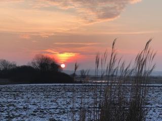 Ankerplatz direkt am Altmühlsee bei Juliane und Klaus - 4