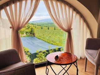 BIOAGRITURISMO FALEZZE di Luca Anselmi - 5