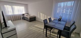 Boxspring Apartment Rottweil mit Stellplatz - 9