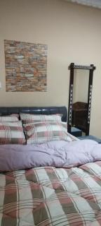 Frag Lesnice Apartments - 6