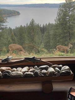 Cozy Lakeview Cabin - 2