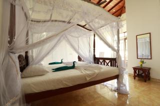 Flamingo Guest house - 9