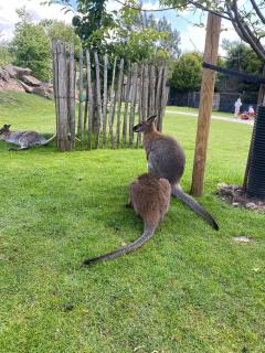 Calton Moor House - 6