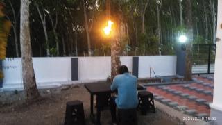 Haven roots - Trivandrum - 8