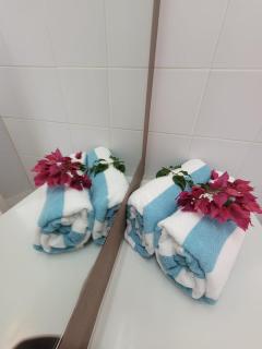 Séjour de rêve au Manganao - Saint-François - 4