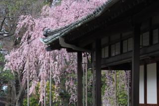 Shinkian Kameido Kinshicho -神亀庵 亀戸 錦糸町- JR亀戸駅徒歩6分 1棟貸切 リノベーション済みの和風宿 無料Wi-Fi - 2