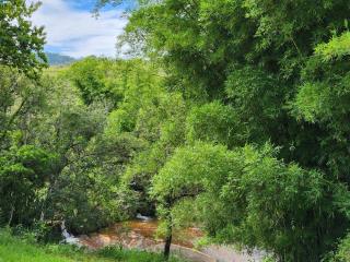 Fazenda Venda Nova, Minas Gerais - 7