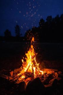 Bapna Farms- Farmstay in Bhanpura Gandhisagar region - 2