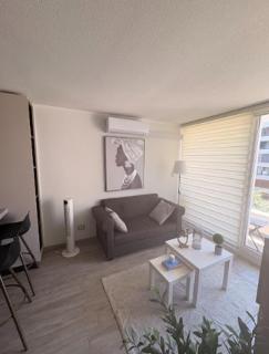 Zona centro I Movistar Arena I Turístico - 6