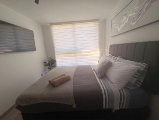 Zona centro I Movistar Arena I Turístico - 5