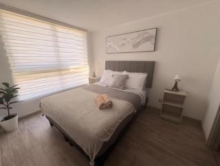 Zona centro I Movistar Arena I Turístico - 3