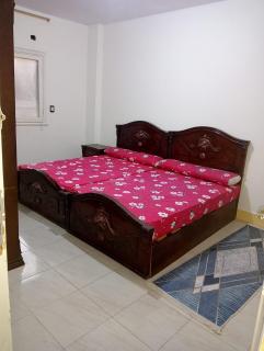 Nour Tours - Cairo - 4